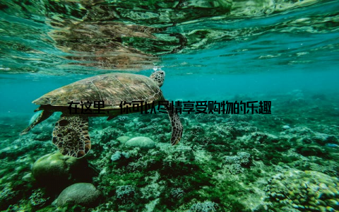 在这里, 你可以尽情享受购物的乐趣