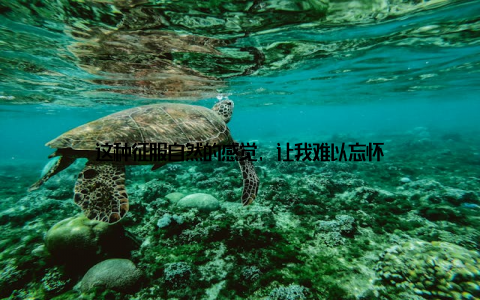 这种征服自然的感觉, 让我难以忘怀