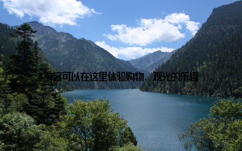 游客可以在这里体验购物、观光的乐趣