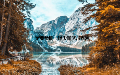 一定要参加一场少林武术表演
