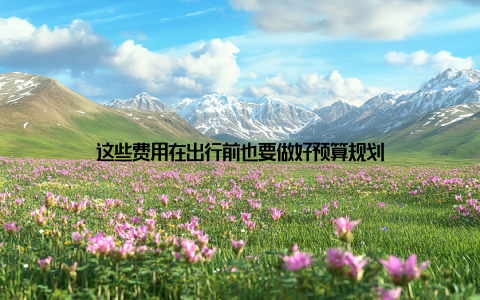 这些费用在出行前也要做好预算规划
