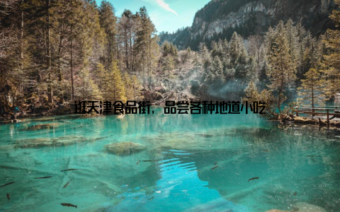 逛天津食品街, 品尝各种地道小吃