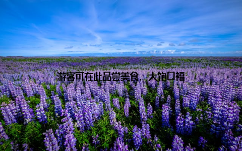 游客可在此品尝美食, 大饱口福
