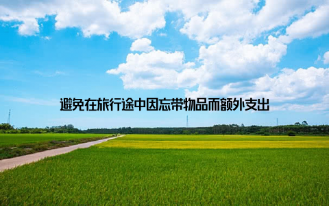 避免在旅行途中因忘带物品而额外支出