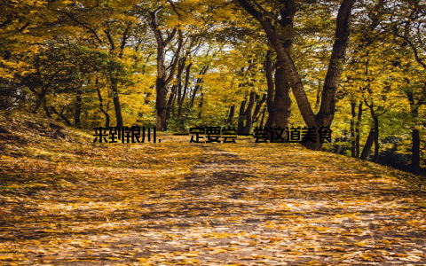 来到银川, 一定要尝一尝这道美食