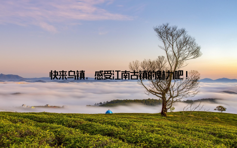 快来乌镇, 感受江南古镇的魅力吧!