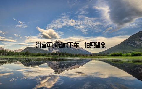 游客可以随时下车, 拍照留念