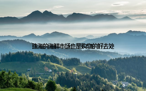 珠海的海鲜市场也是购物的好去处