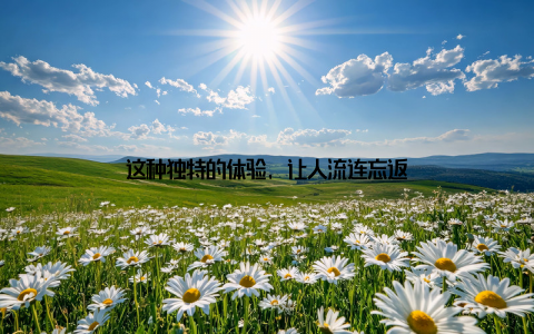 这种独特的体验, 让人流连忘返